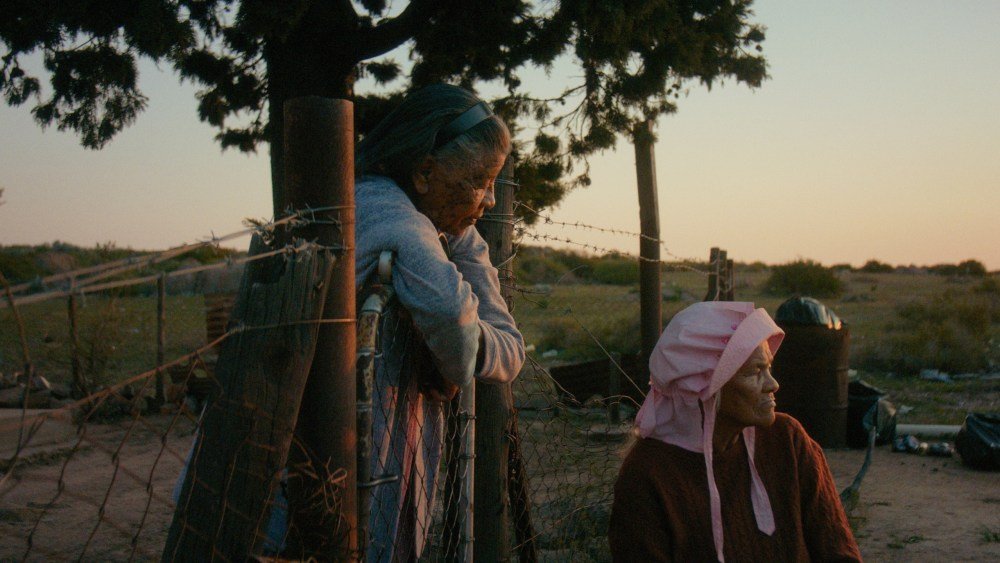 Courtesy of IFFR