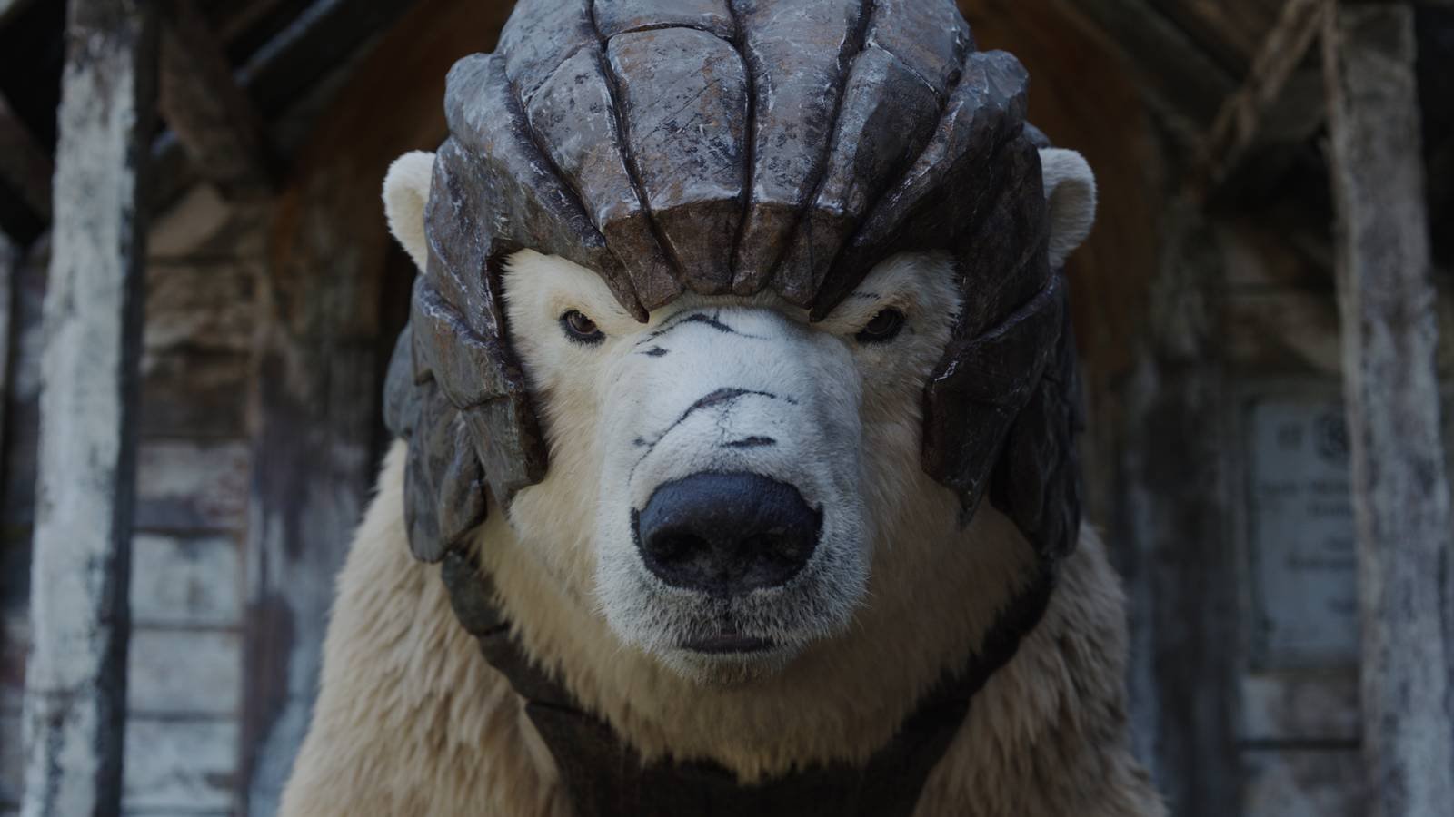 The panserbjørn in His Dark Materials